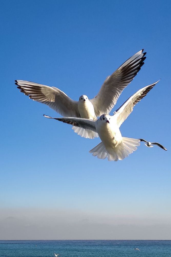 Photograph by Ольга Капко