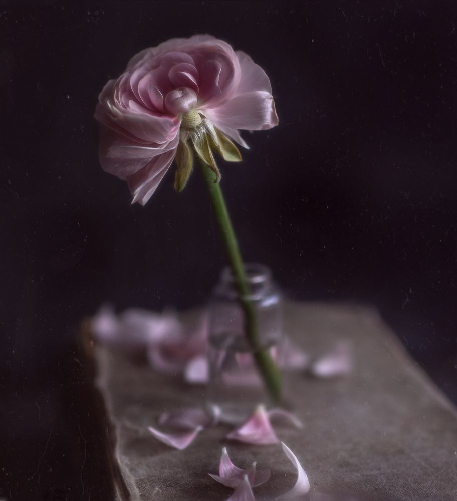 Photograph by Svoboda Andreeva