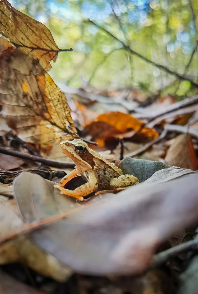 Photograph by Domagoj Sever