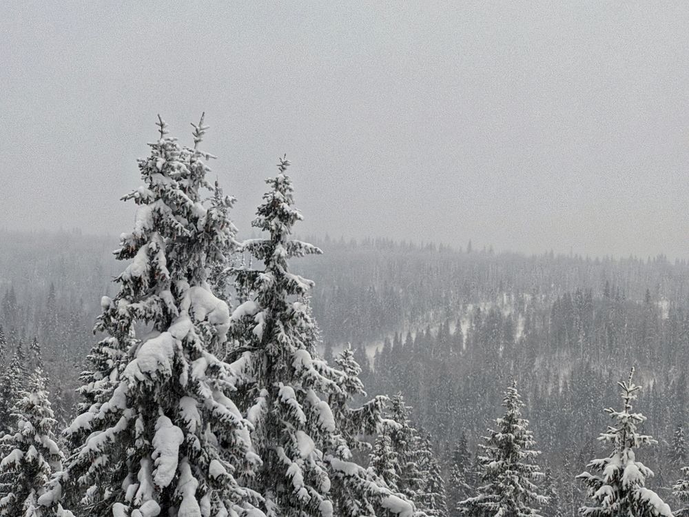 Photograph by Денис Пономарёв