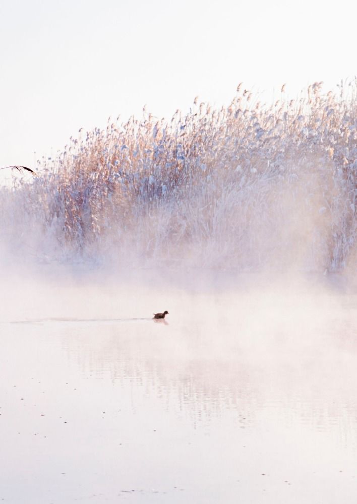 Photograph by Усатый Александр