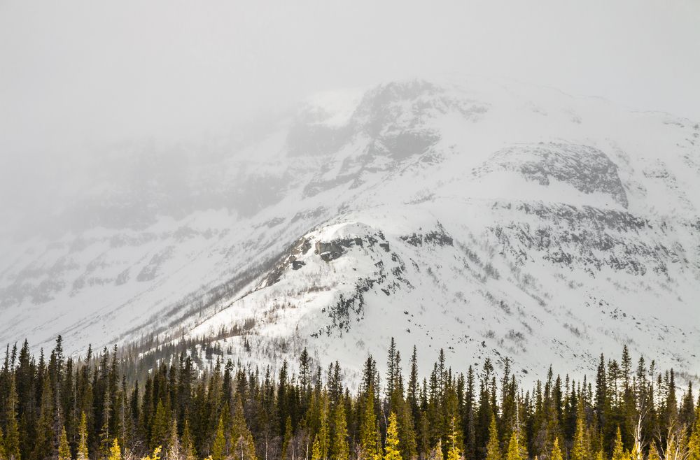 Фотография автора Филиппов Дмитрий