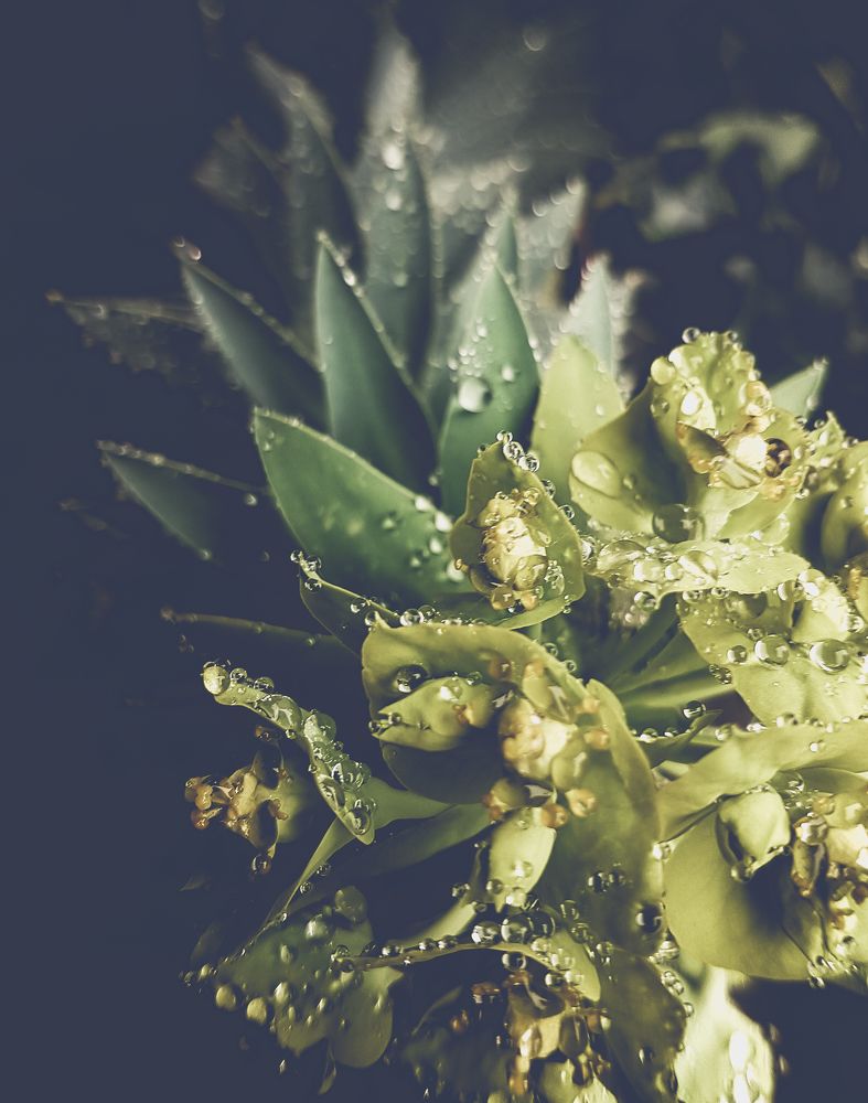 Photograph by Виктория Севастьянова