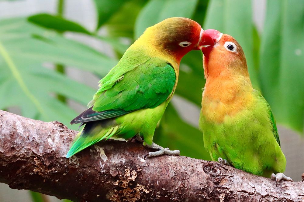 Photograph by Малика Маткарим