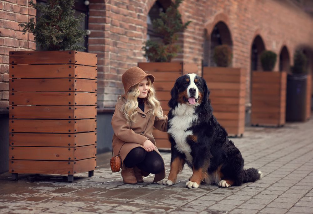 Photograph by Виктория Дубровская