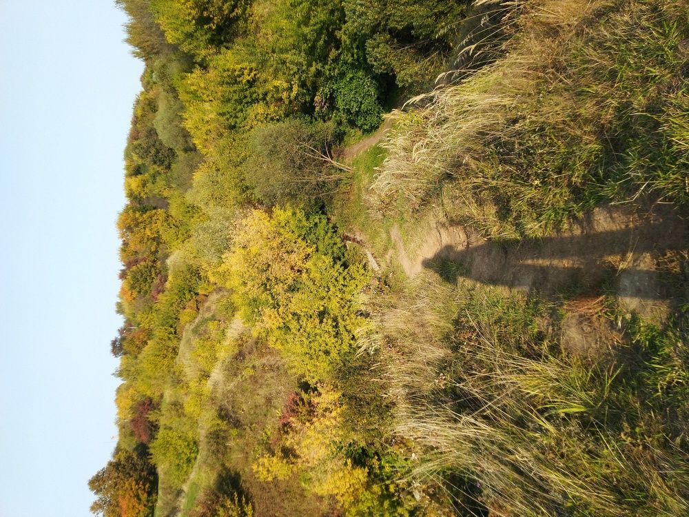 Photograph by Татьяна Глухова