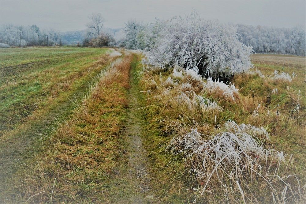 Photograph by Zdeňka Hudcová