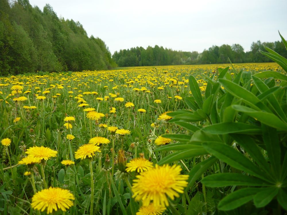 Photo #5911635