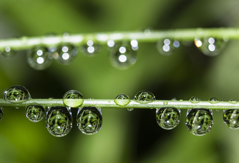 Photograph by Sergey Tsubanov