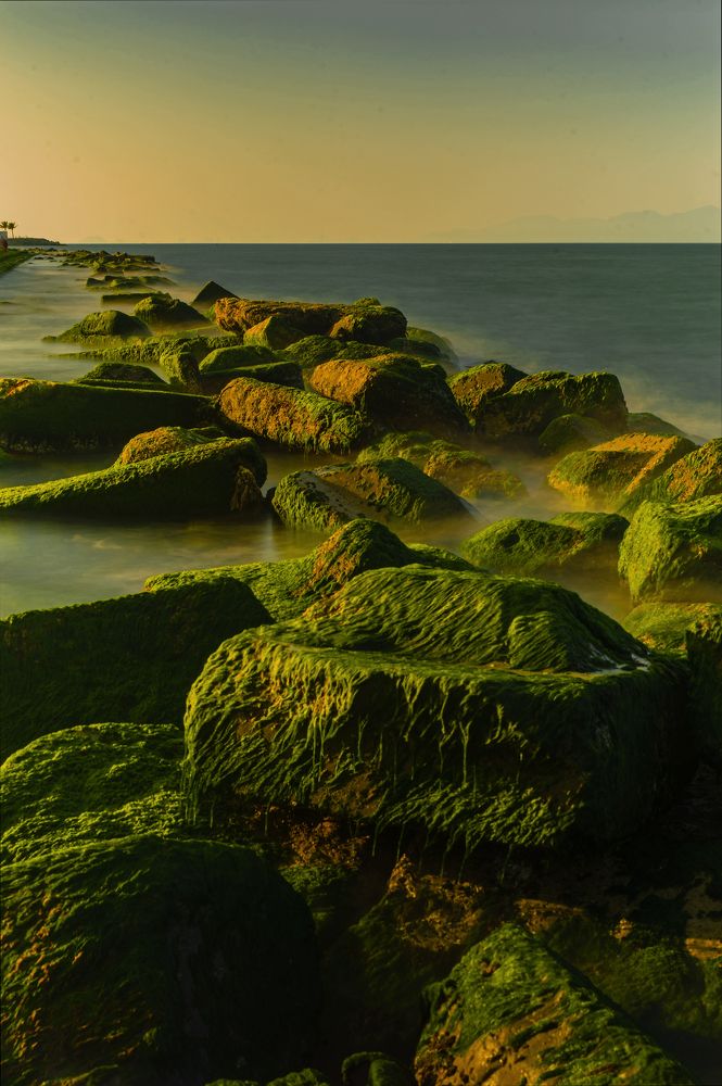 Photograph by Trần Ngọc Thanh