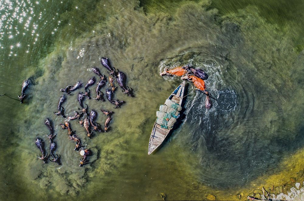 Photograph by NGUYEN THANH HAI