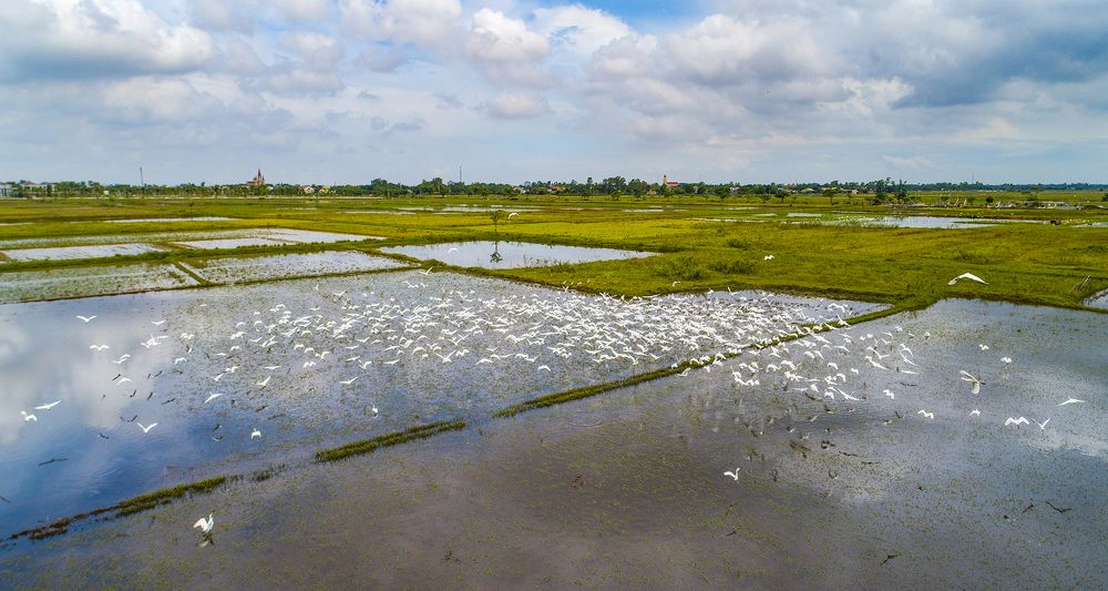 Photograph by NGUYEN THANH HAI