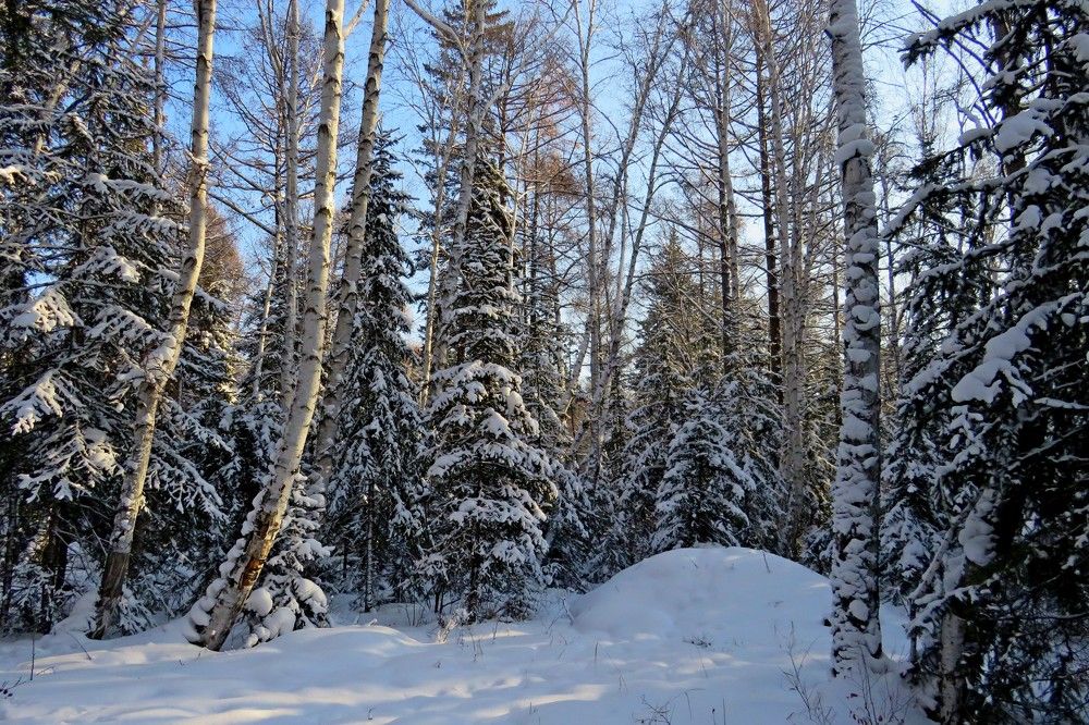 Photograph by Татьяна