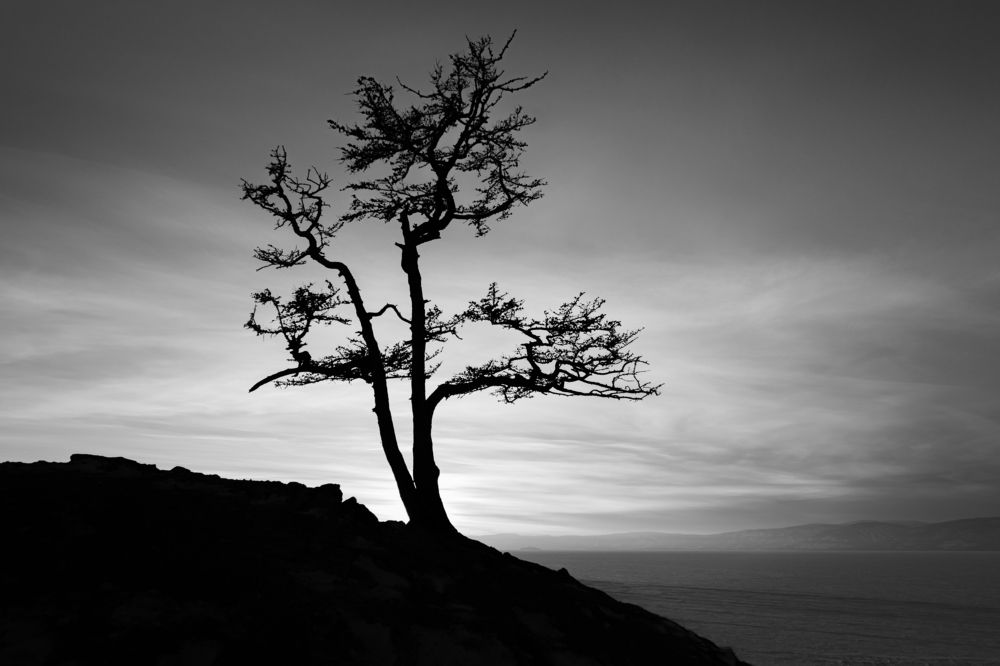 Photograph by Денис Бобр
