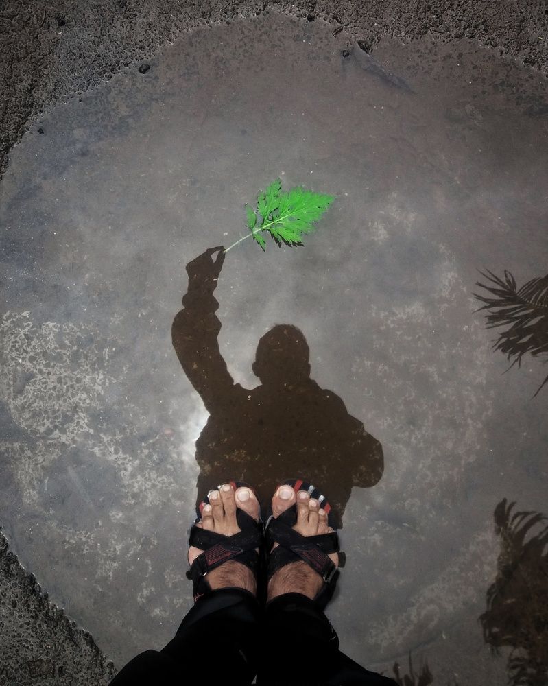 Фотография автора Jayesh Rajput