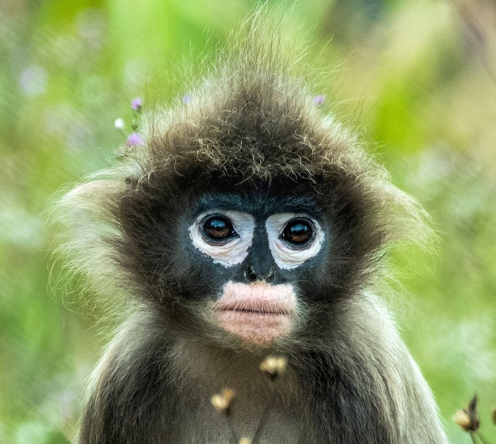 Photograph by Madhurya Mozumder