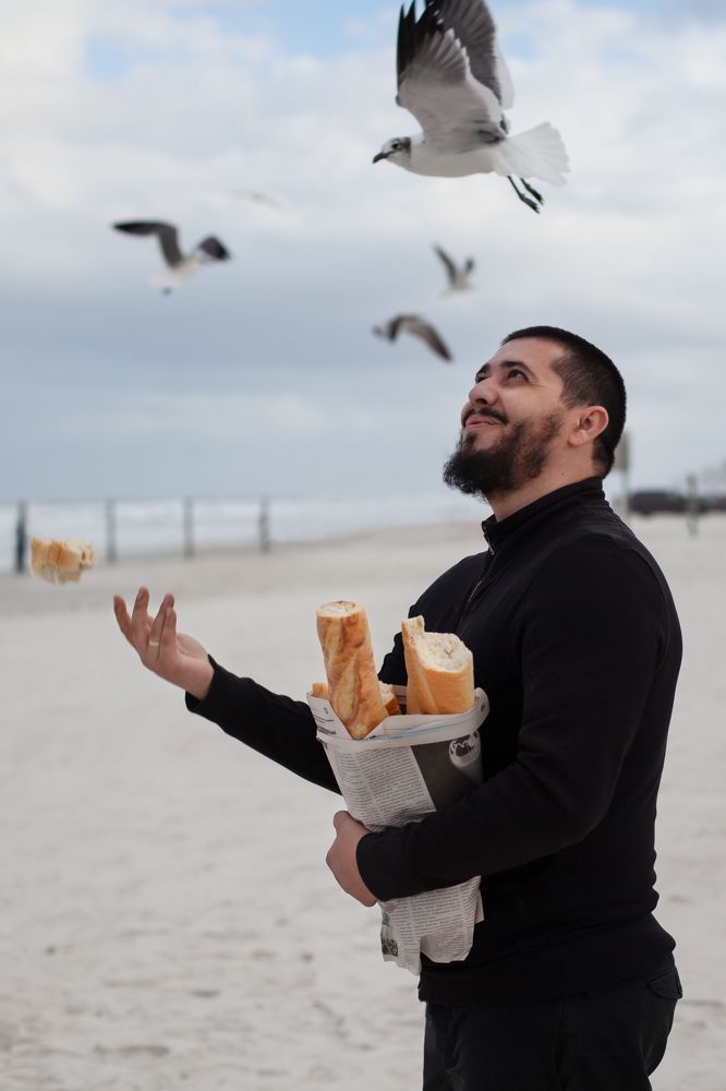 The man and the seagulls