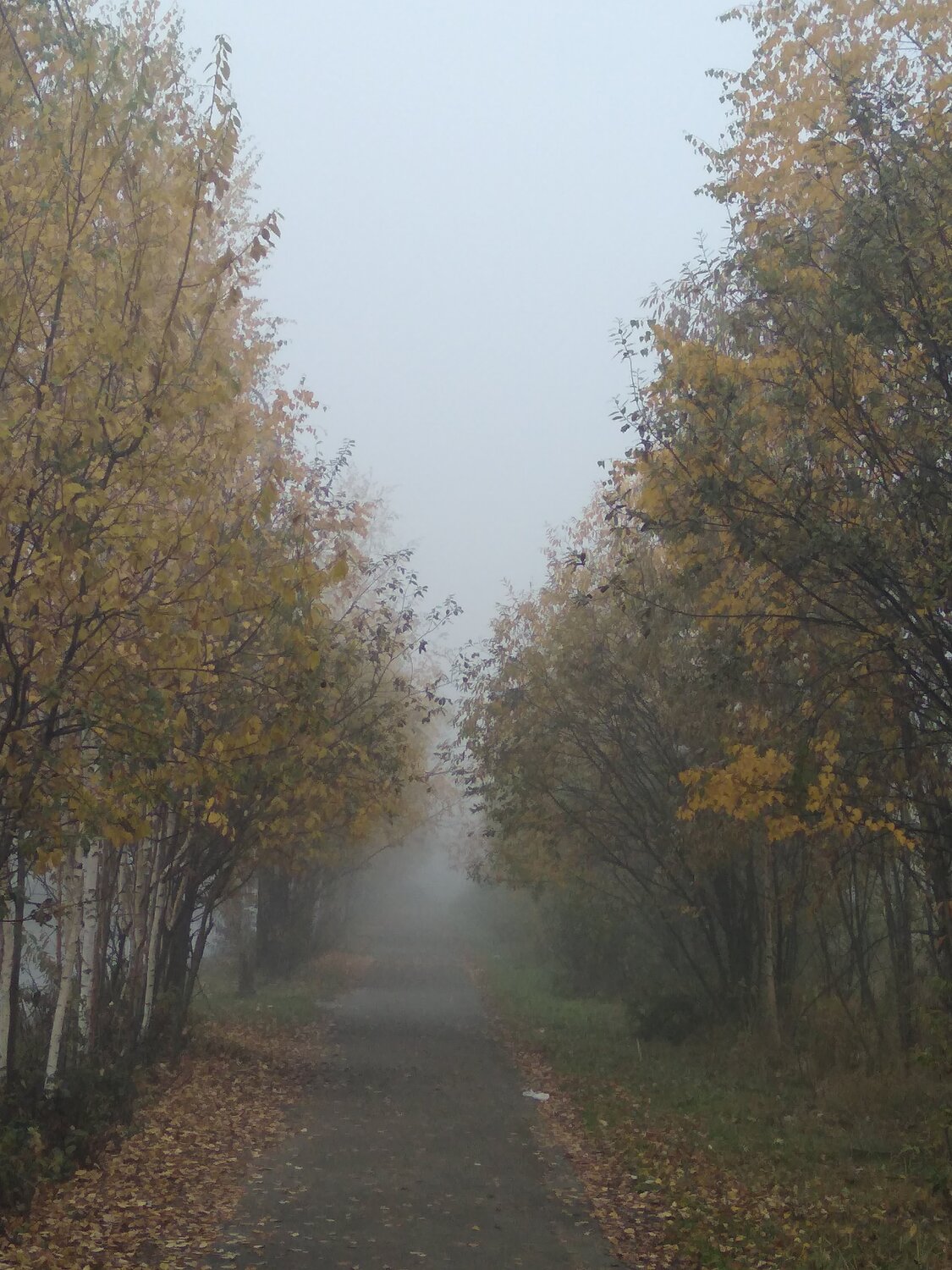Photo #5912053