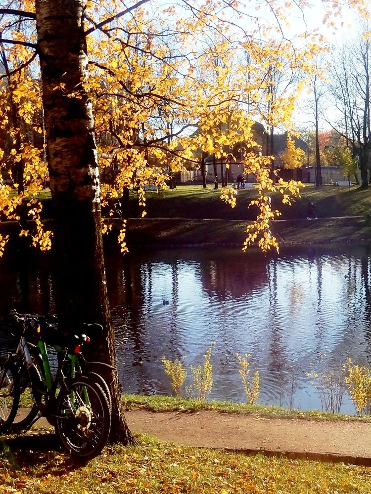 Ожидание. У Графского пруда.