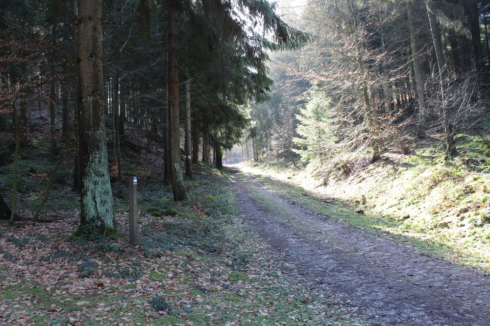 Photograph by Viktor Dikmann