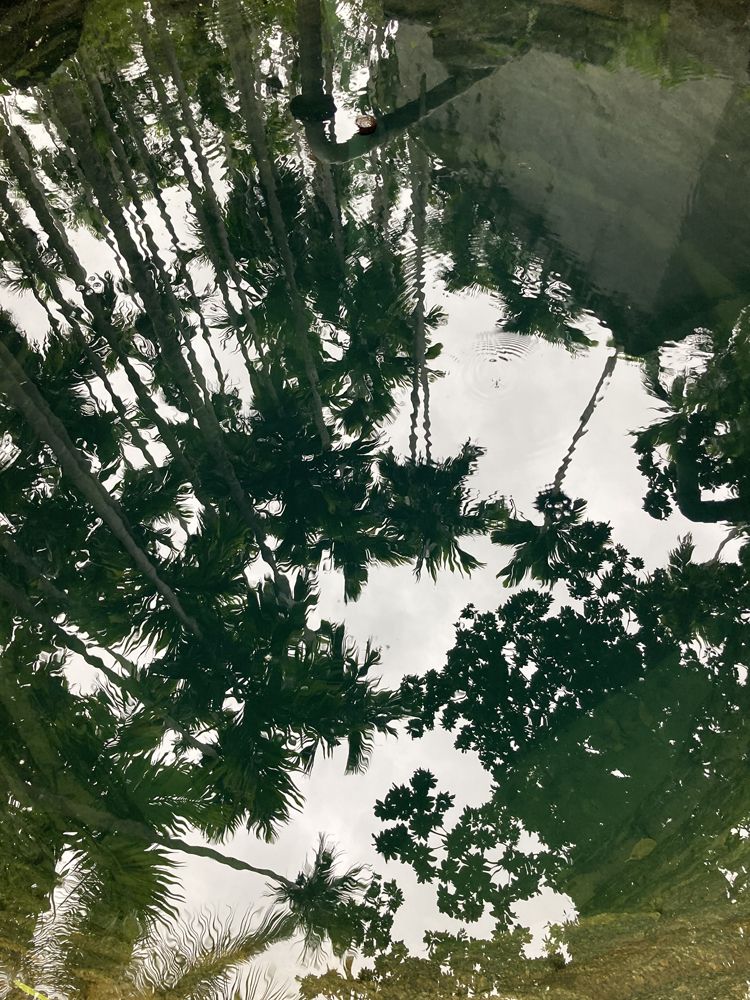 Photograph by kiran chandra