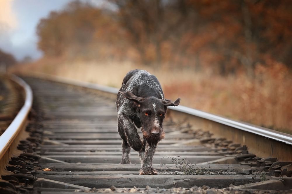 Photograph by Наталия Поникарова