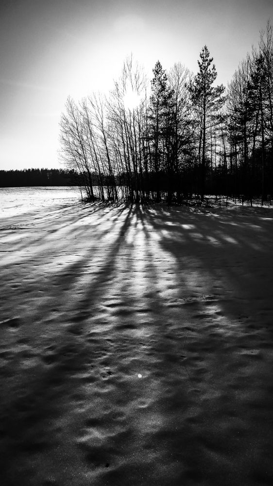 Photograph by Александр Казак