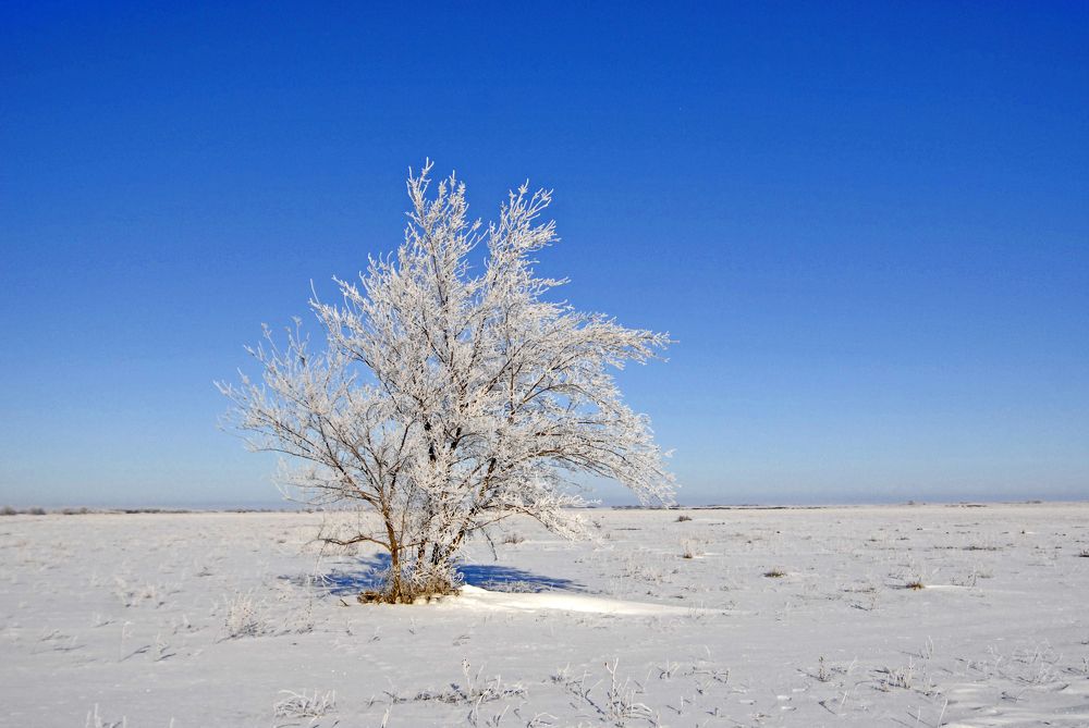 Photograph by Артур Дагнер