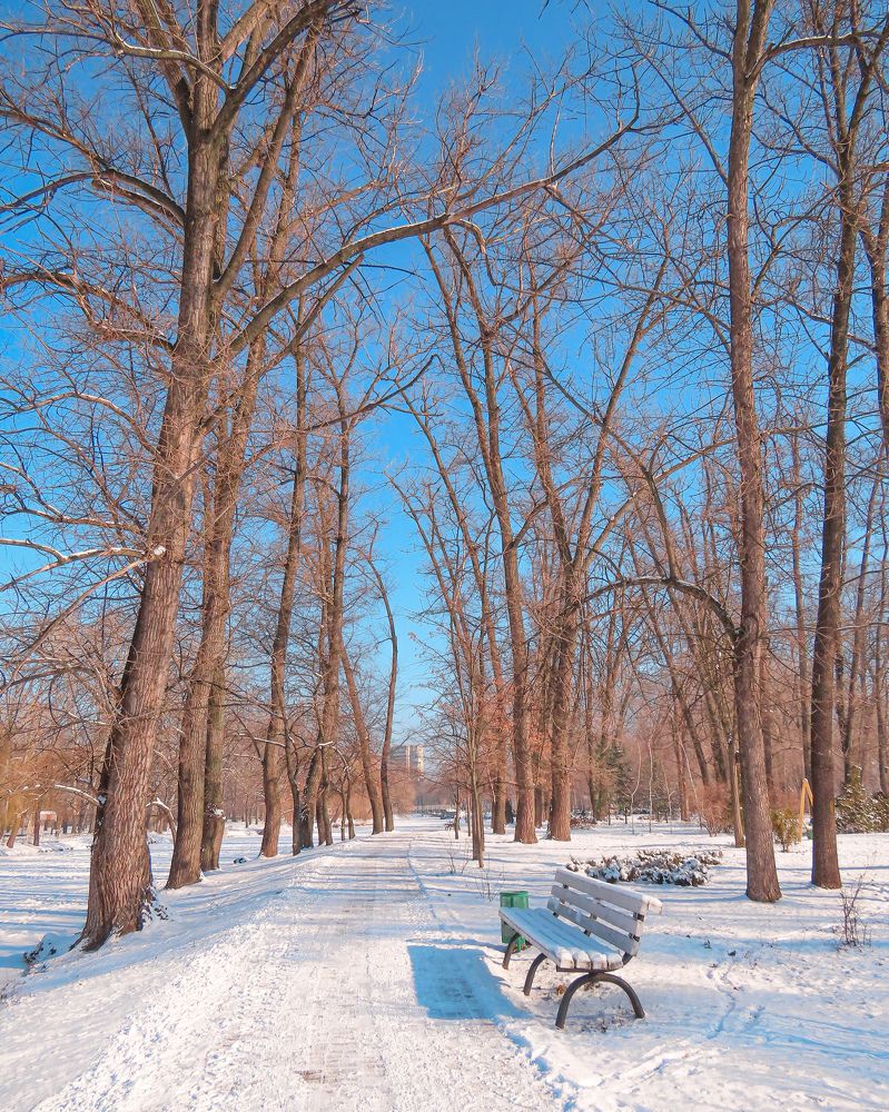 Photograph by Юлия Ключик