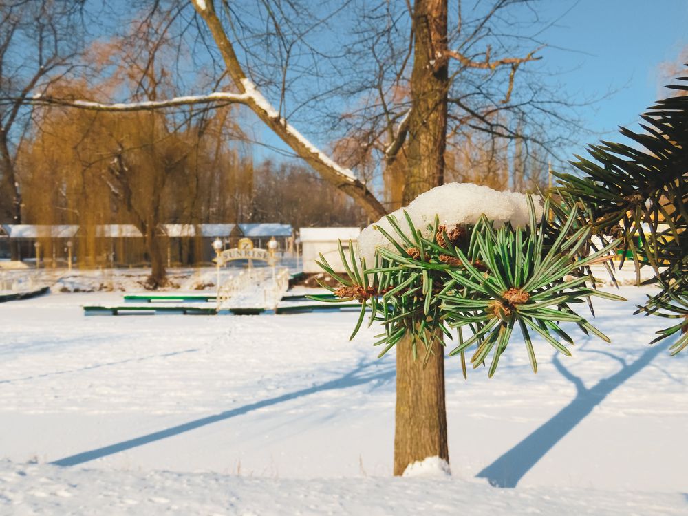 Photograph by Юлия Ключик