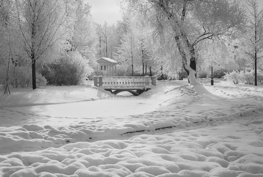 Photograph by Светлана Воробьёва