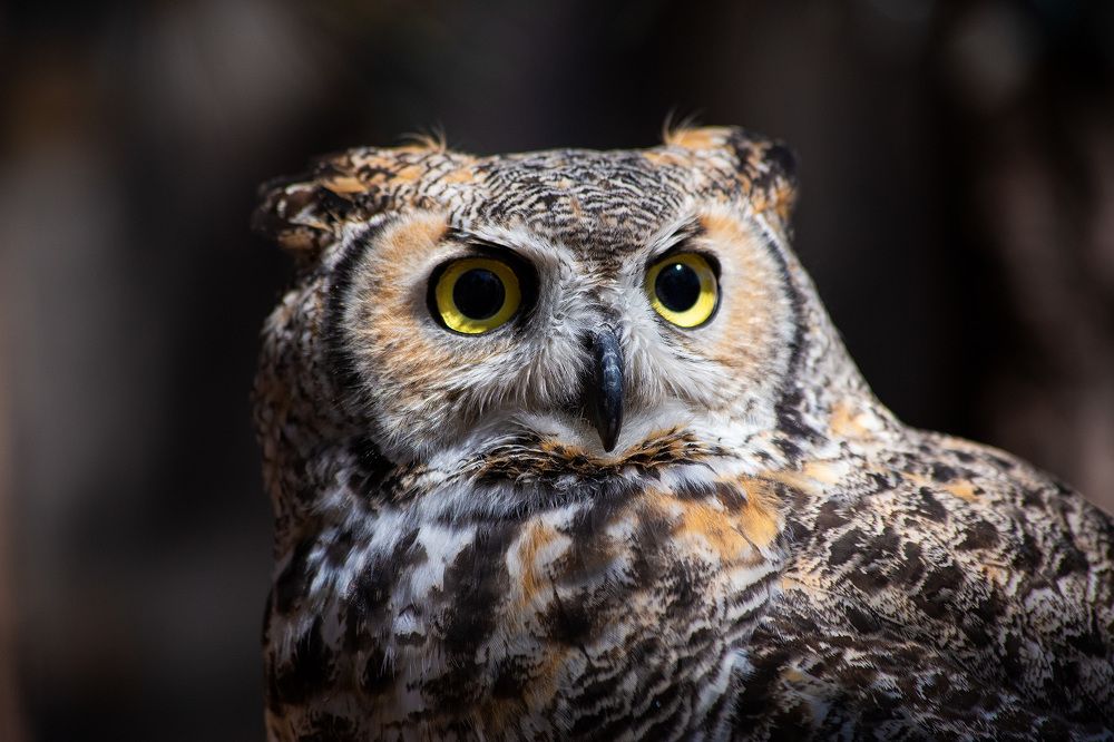 Photograph by Lana Anferow