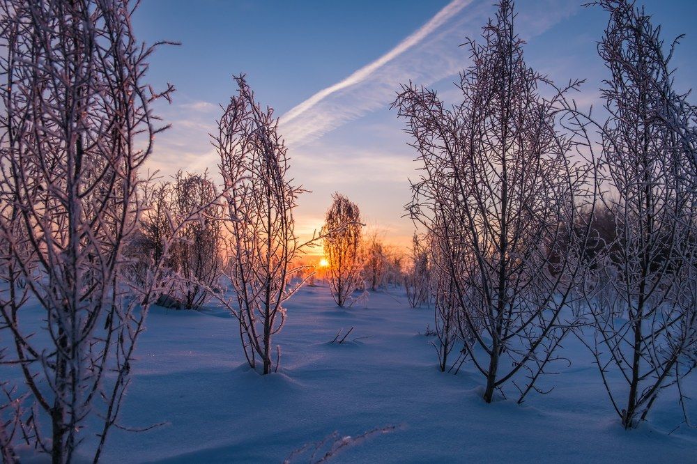 Photograph by Дмитрий Власов