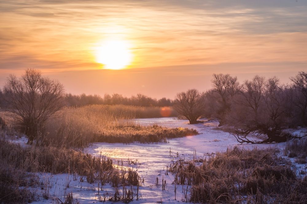 Photograph by Дмитрий Власов