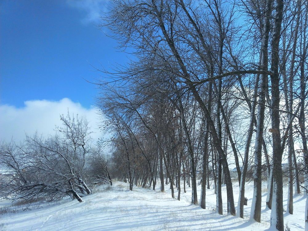 Photograph by Екатерина Ирижепова