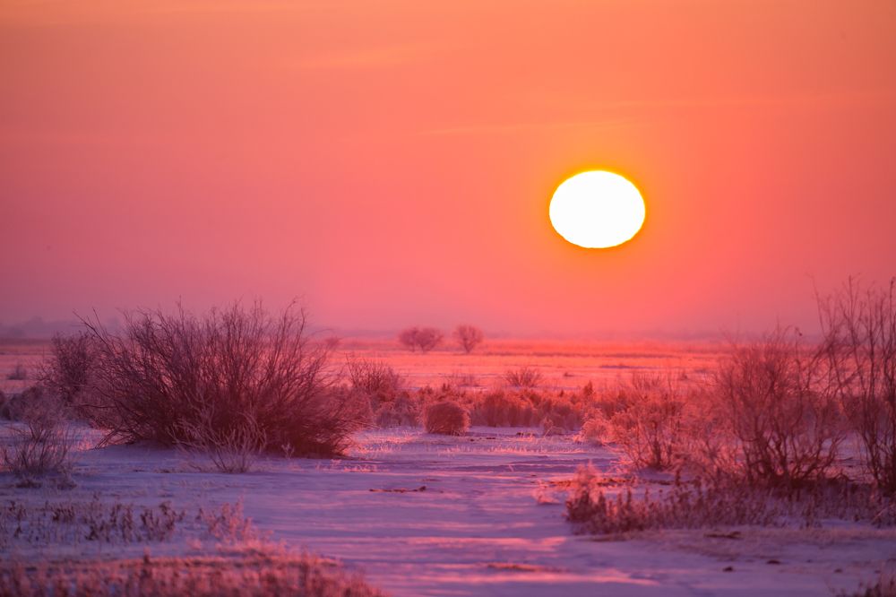 Photograph by Дмитрий Власов
