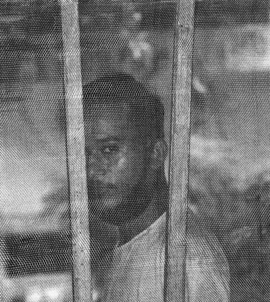 Фотография автора Shajid Mohd