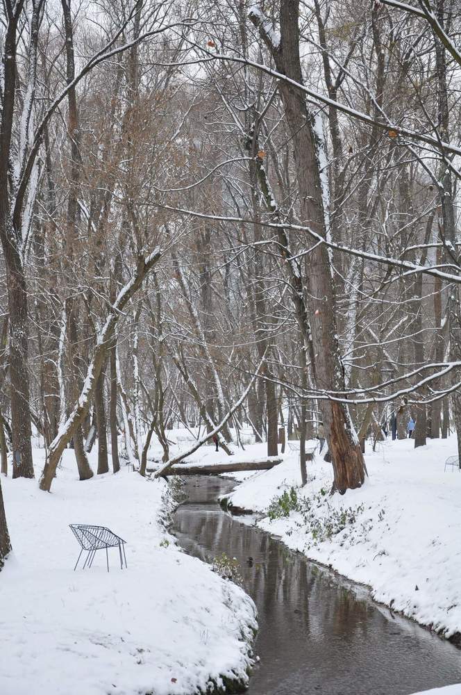 Photograph by Галина Лысых