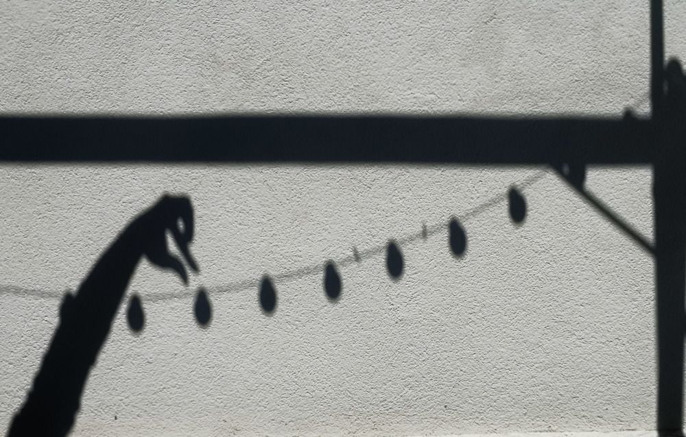 Photograph by Rumen Kurtev