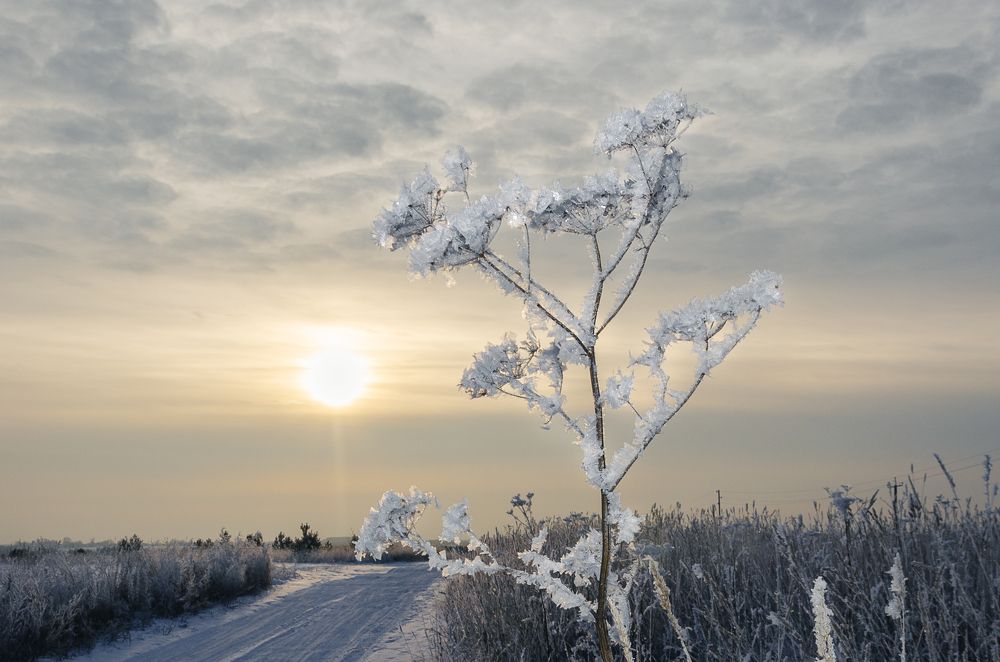 Photograph by Надежда Колеватова