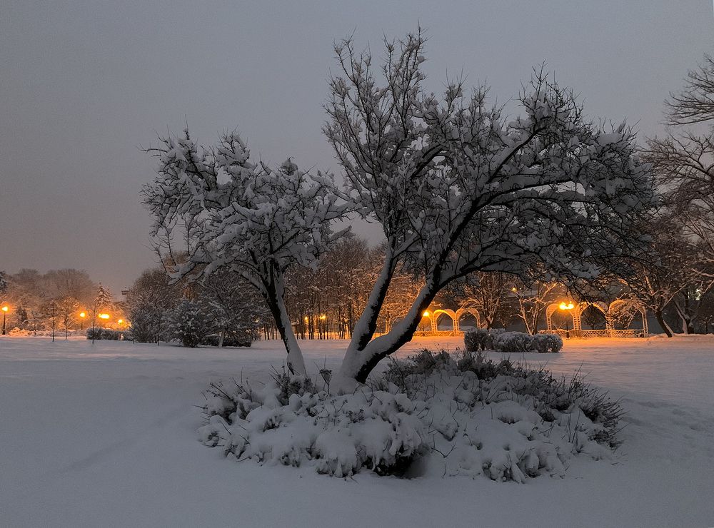 Photograph by Андрей Савицкий