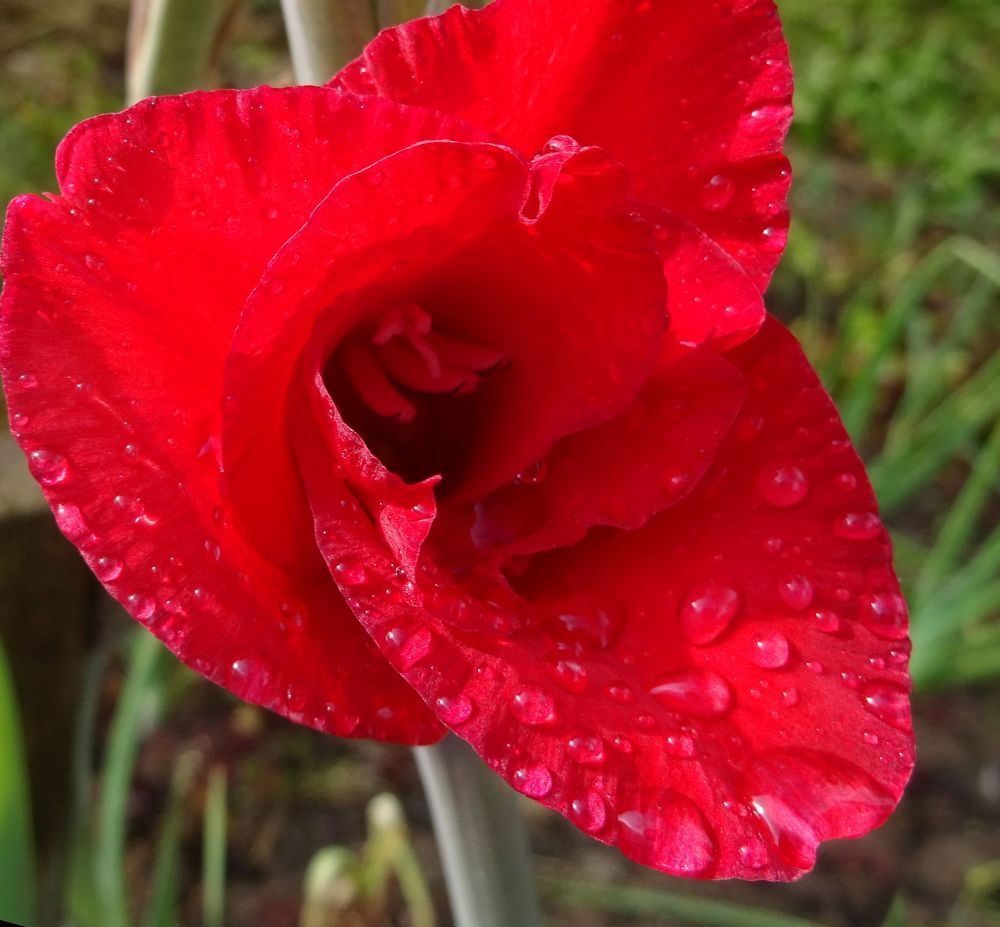 После дождя.