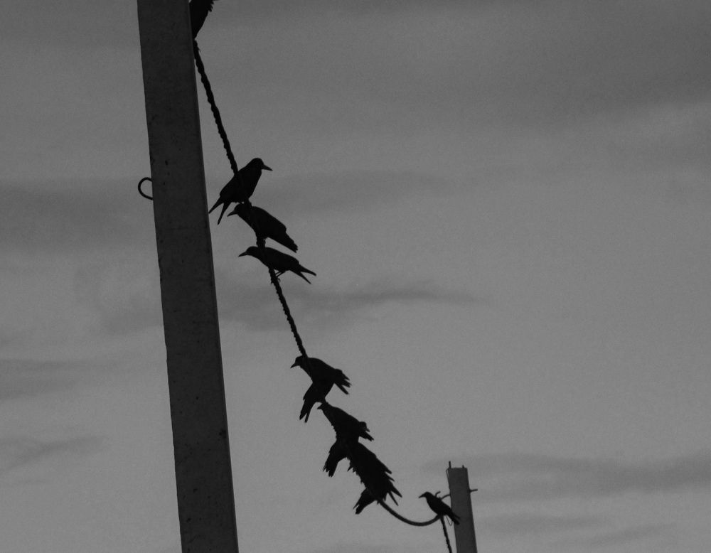 Photograph by Мария Королева