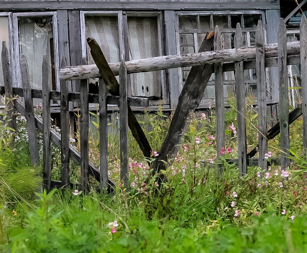 Photograph by Елена Данченко