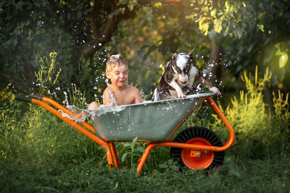 Фотография автора  Анастасия