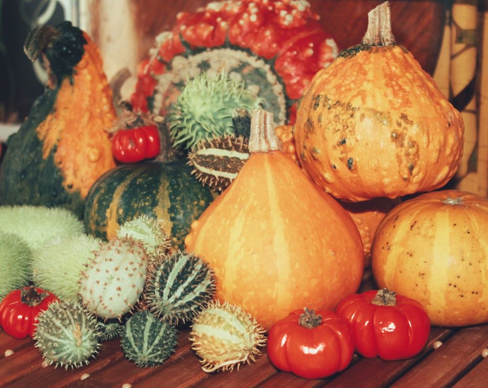 Photograph by Natalija Bucinska