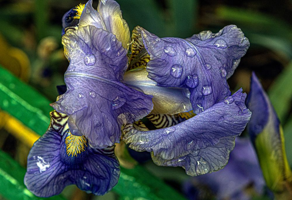 Photograph by Ирина Федорова