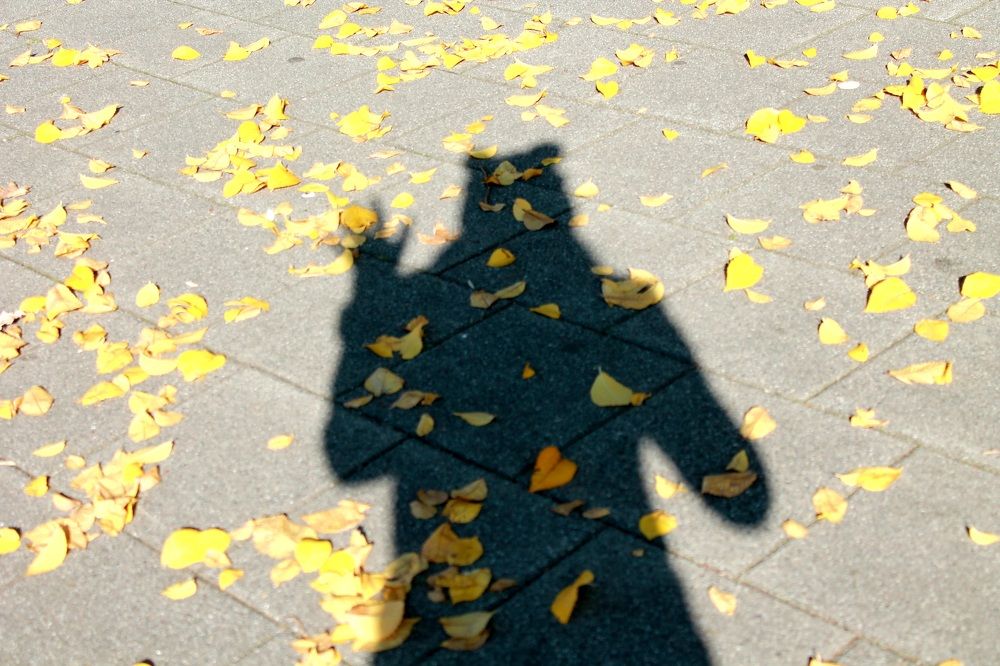 Photograph by Natalija Bucinska