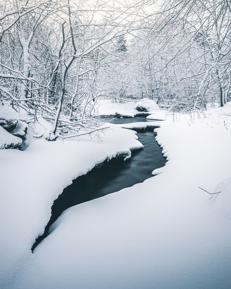 Photograph by Сергей Абраменков