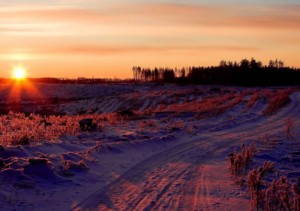 Морозный закат